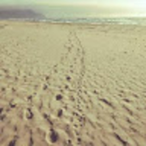 Meet your Posher, Marianne - Picture 1 of 1